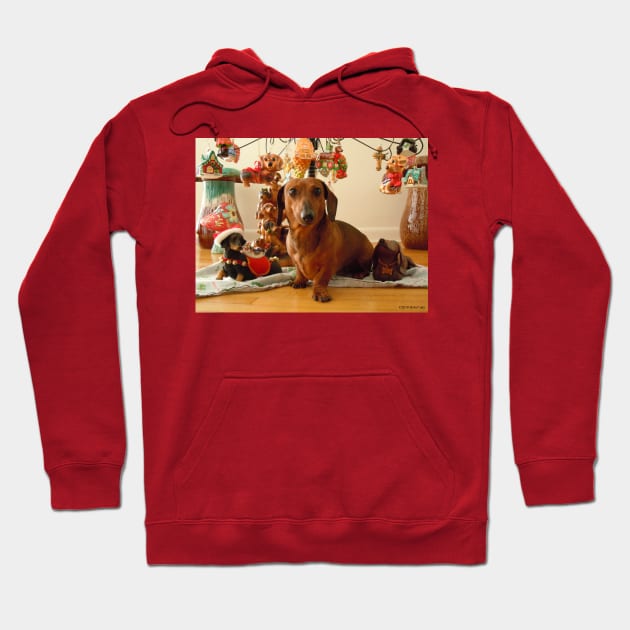 Christmas Dachshund (Version 1) Hoodie by DebiCady